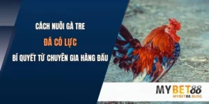 cach nuoi ga tre da co luc