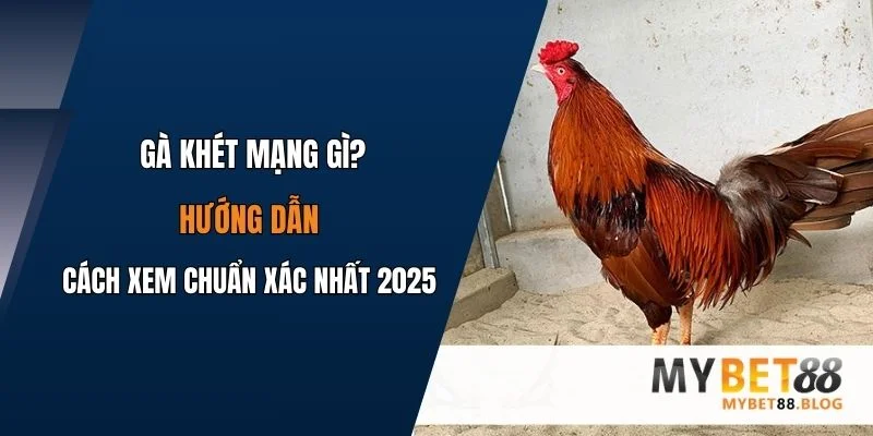 Gà Khét Mạng Gì? Hướng Dẫn Cách Xem Chuẩn Xác Nhất 2025 1 ga khet mang la gi